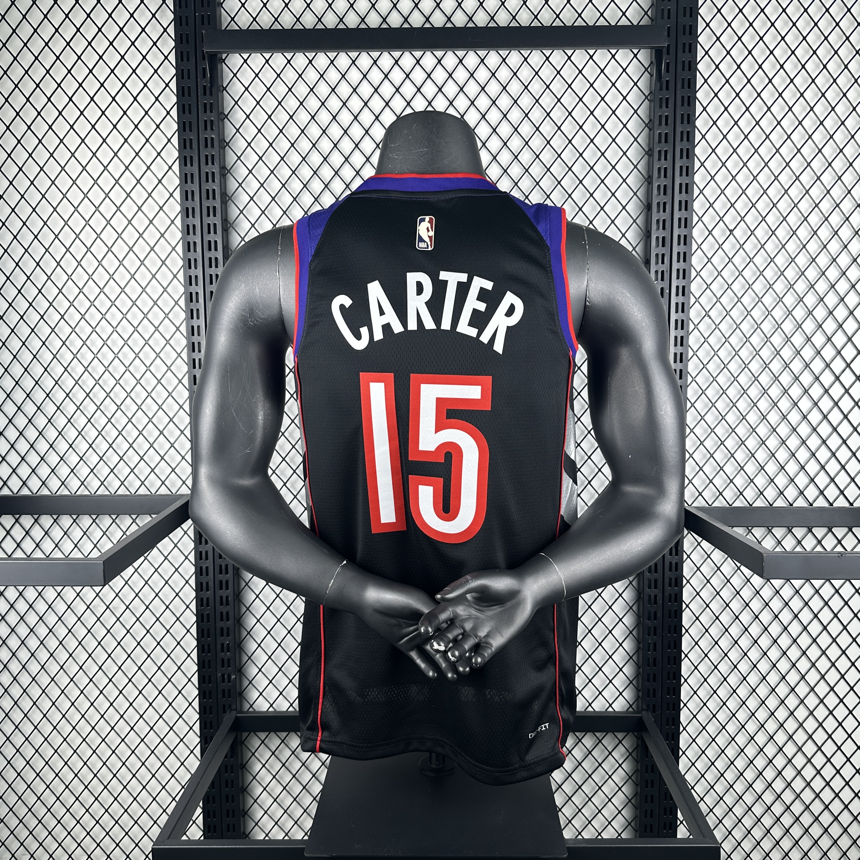 25 season Raptors throwback No. 15 Carter