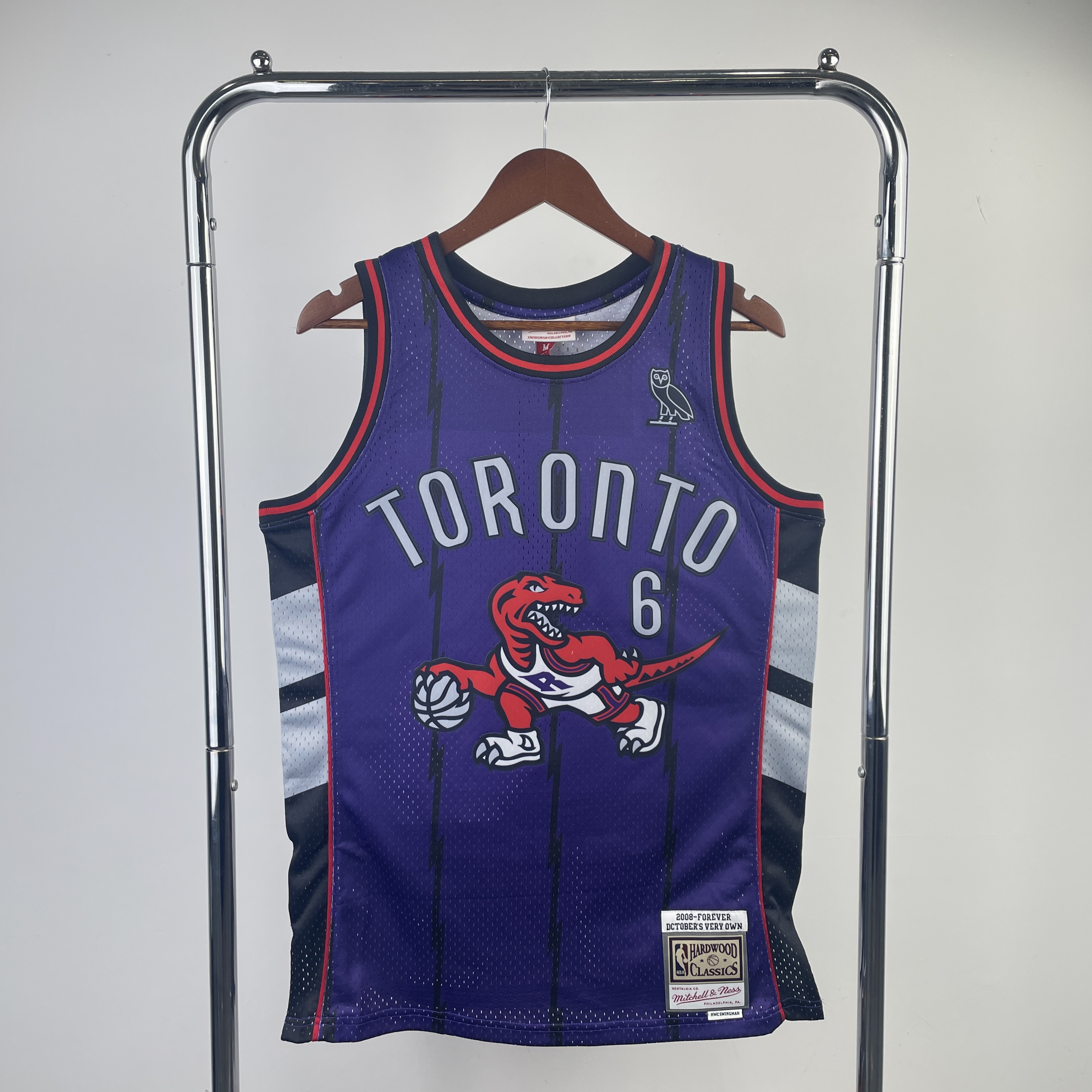 MN Fan Edition Hot pressed throwback jersey Raptors Purple No. 6 KNOW YOURSELF