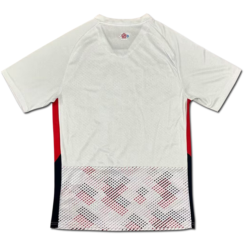 2024-2025 LOSC Lille Away shirt  Jersey