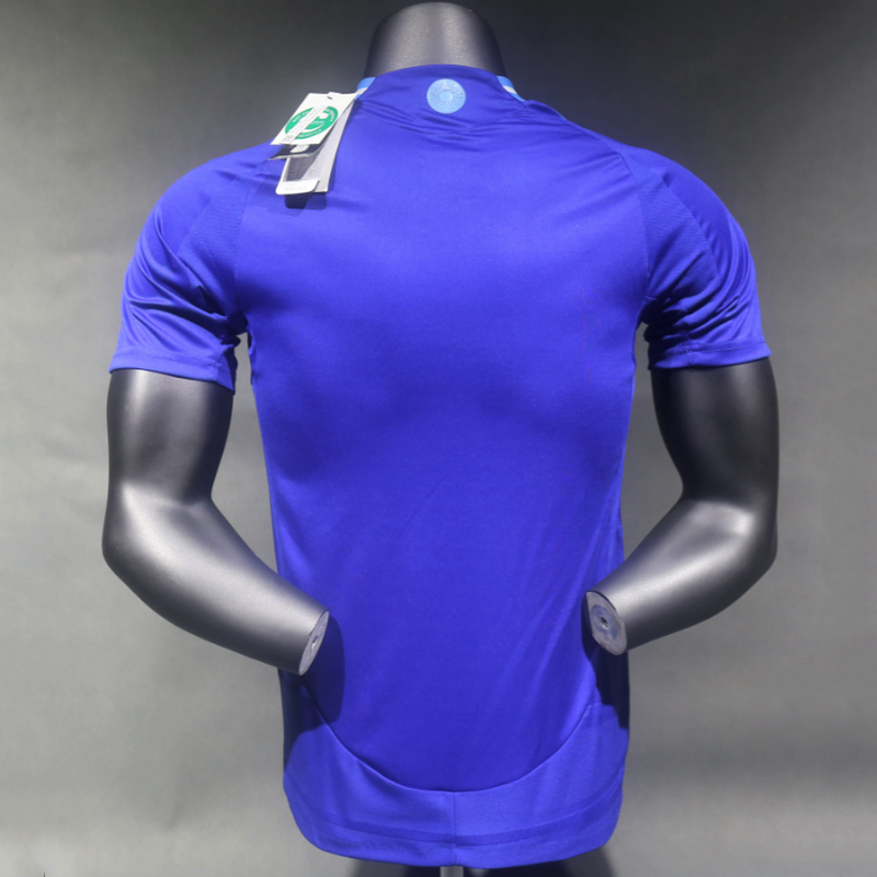 2024 Argentina away jersey Player Edition jersey