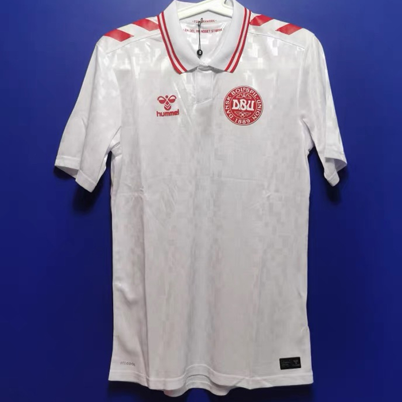2024-2025 Denmark Away Jersey