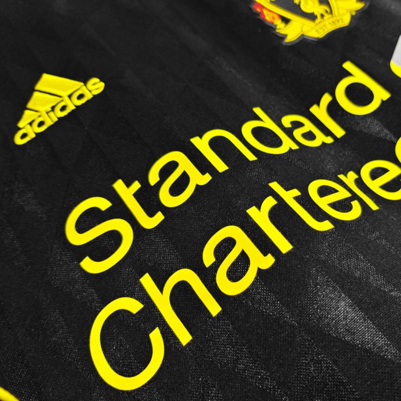 2010-2011  Liv Third