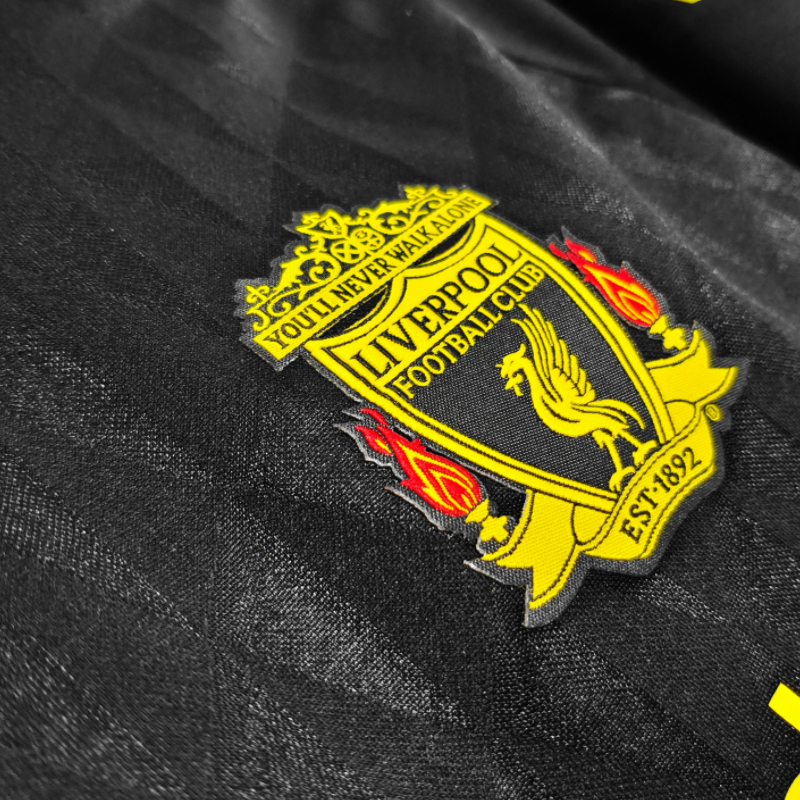 2010-2011  Liv Third