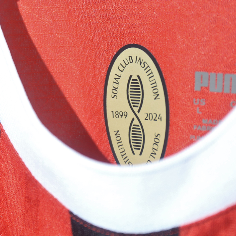 2024-2025 (AC Milan) Home player Version