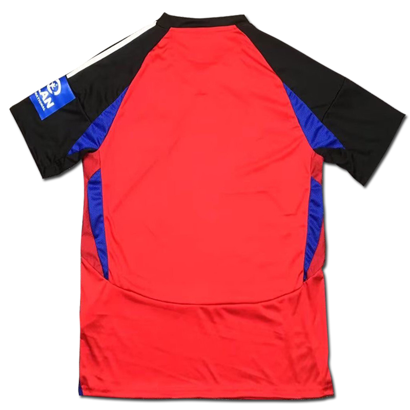 2024-2025 Hamburger SV Away