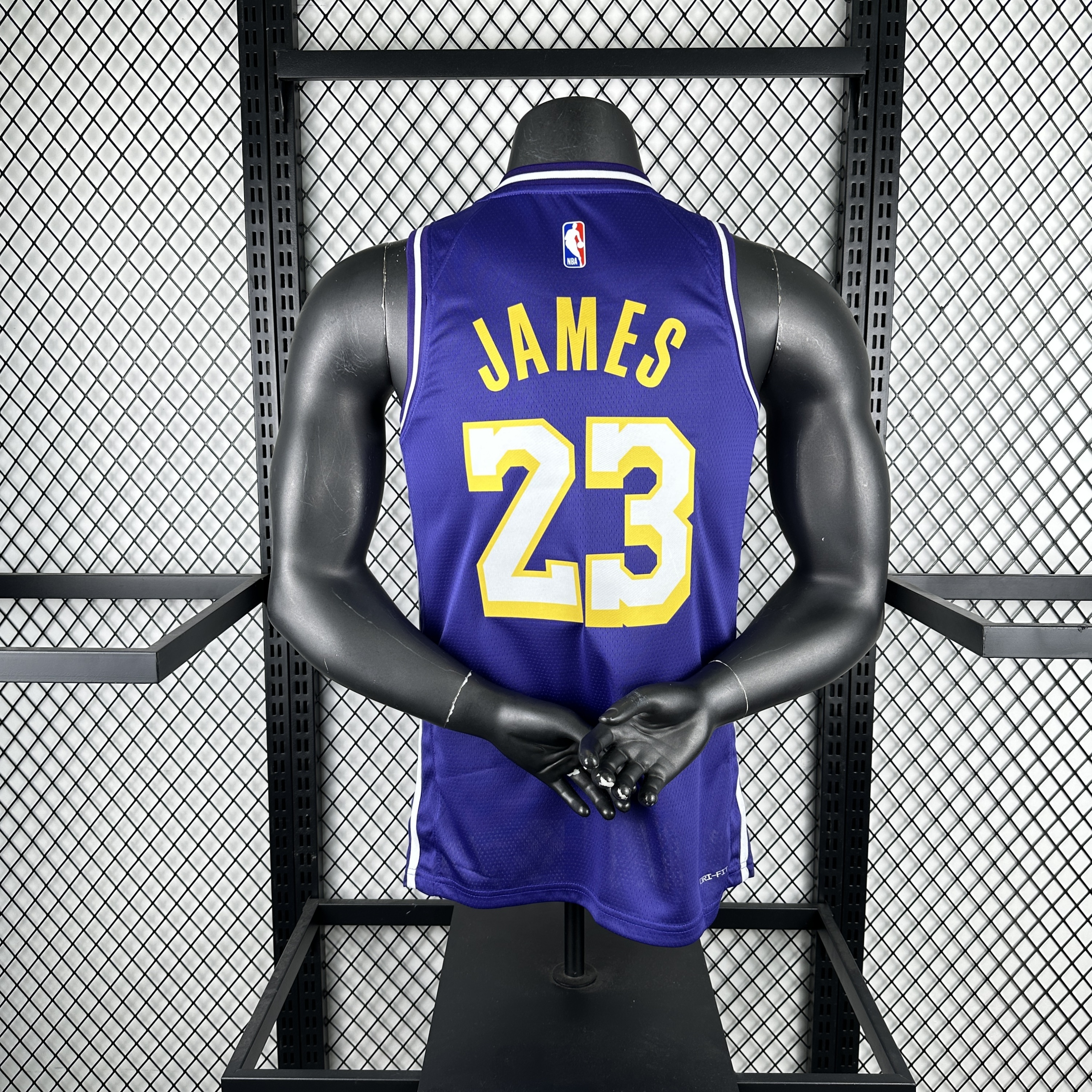 26th season Lakers' Flying Man  23 James