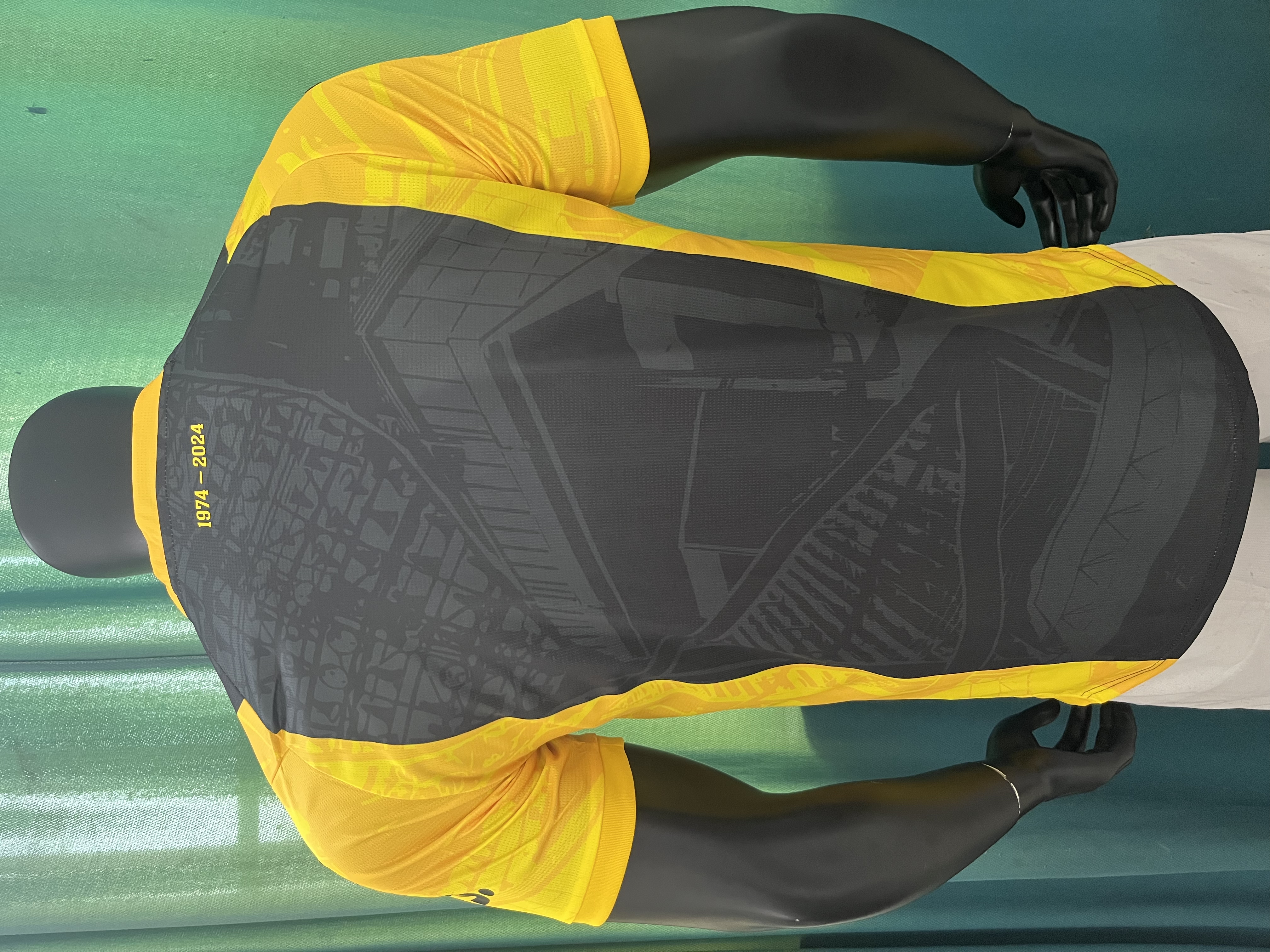 Borussia Dortmund season 23/24 special edition