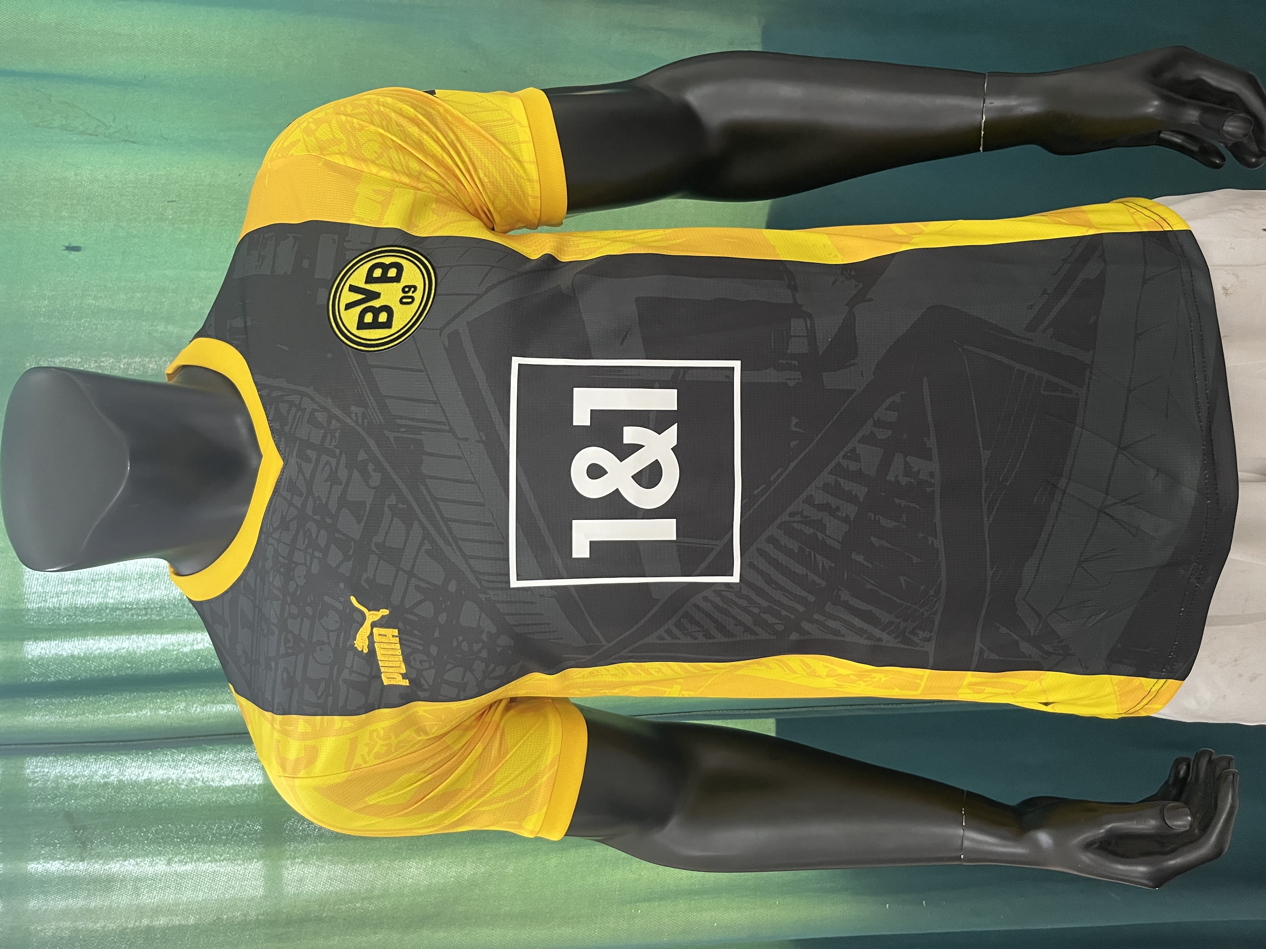 Borussia Dortmund season 23/24 special edition