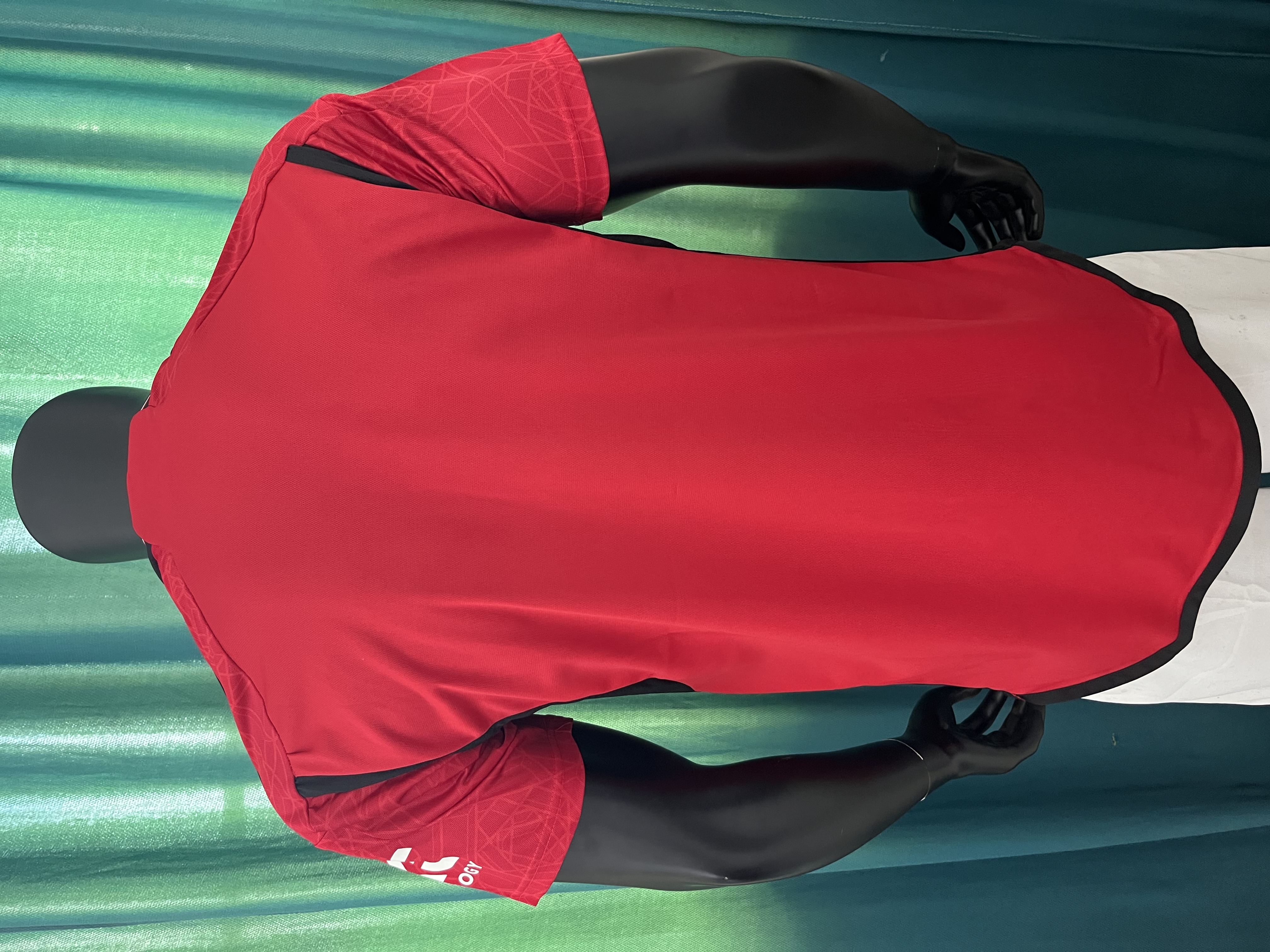 Manchester United at home in the 23/24 season