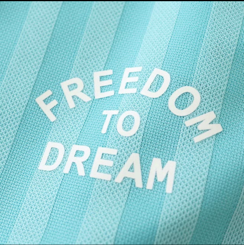 Soccer Jersey 1 Player Version  Slim Fit Best Quality  New  LM10  Teal