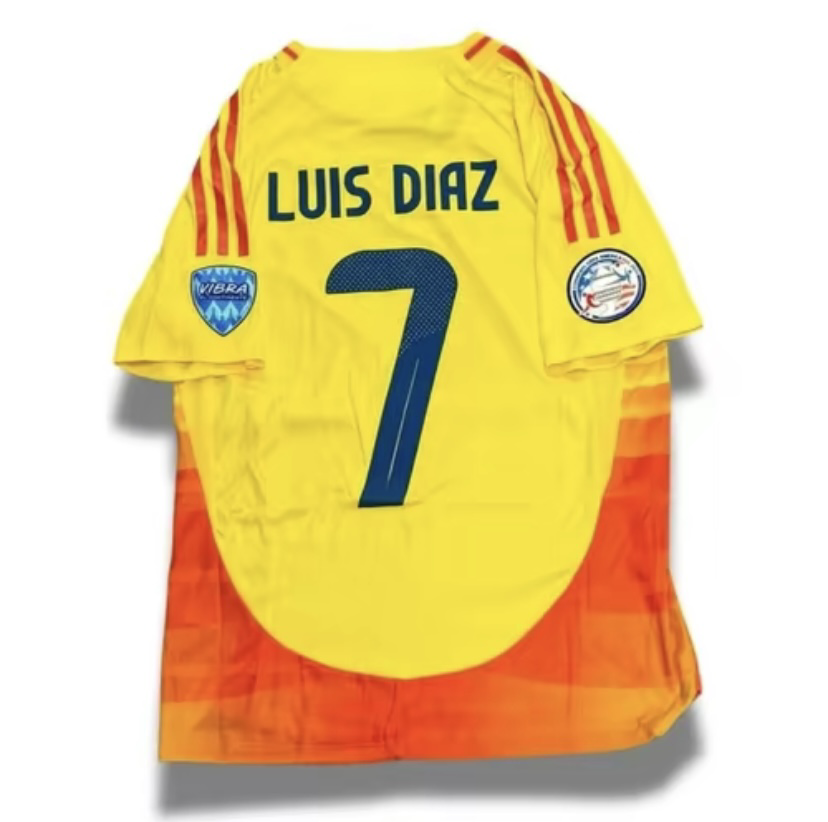 Soccer JerseyPlayer Version Slim Fit Best QualityLD7