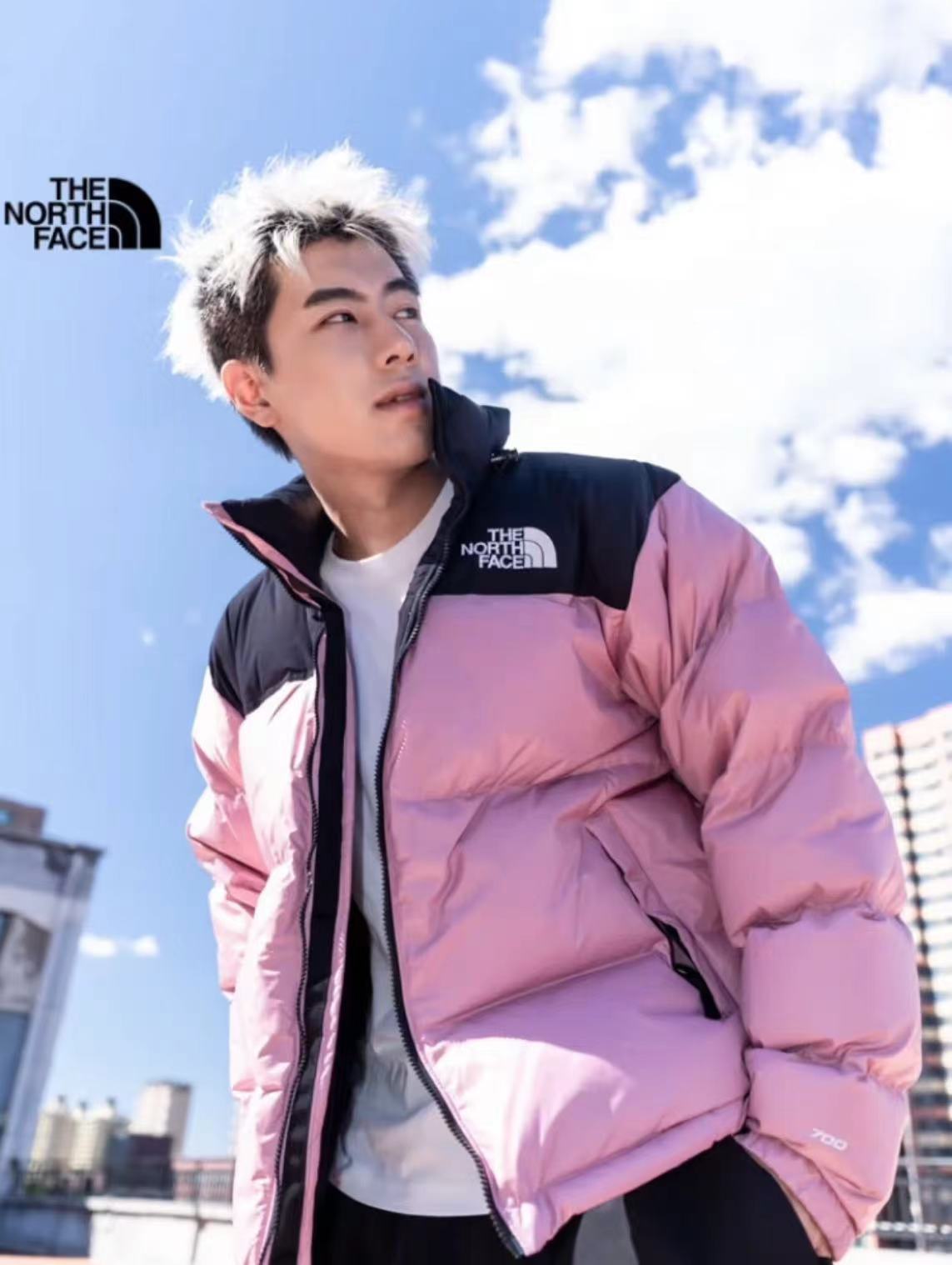 THE NORTH FACE 1996 series FW23 EcoNuptse Jacket stand-up collar windproof can accept down jacket winter men and women alike