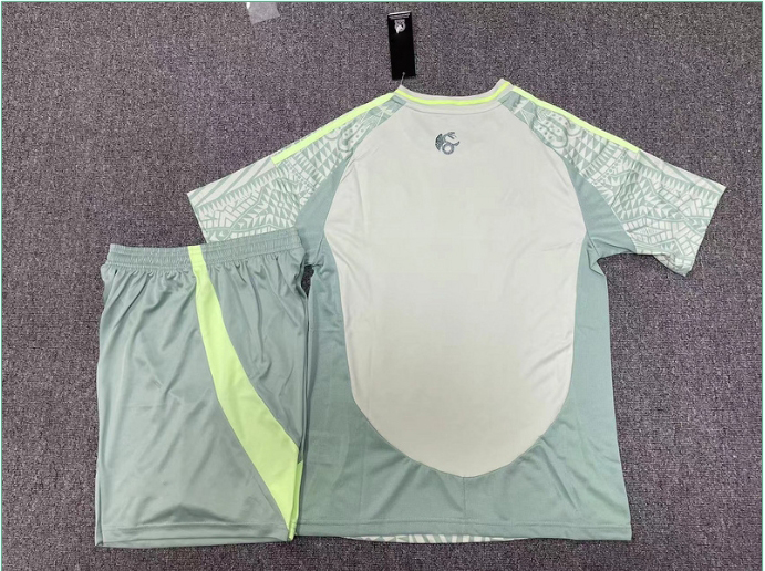 2425 Mexico away short-sleeved half-pull training uniform player jersey set