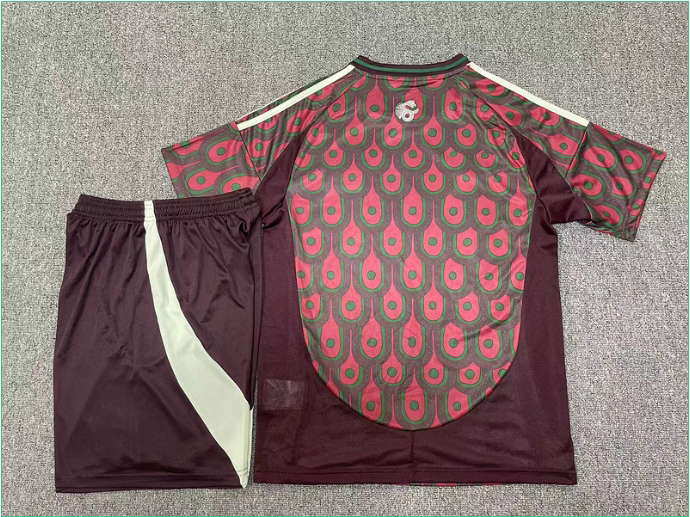 2425 Mexico home short-sleeved half-pull training uniform player jersey set