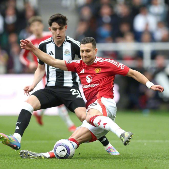 A huge, huge mistake! On Baindel's nightmare debut, Newcastle scored four goals in a row for the first time in 24 years（haojie）