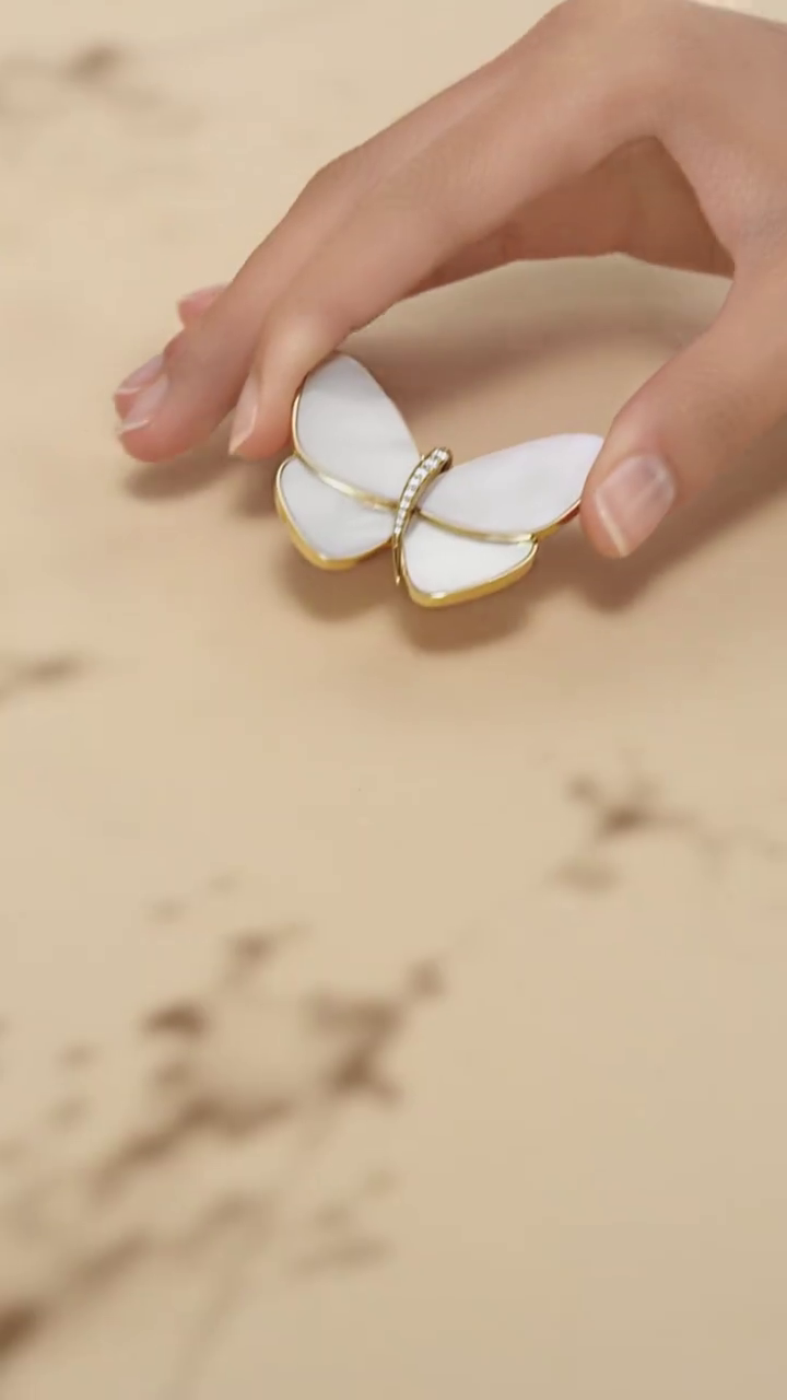 Cartier butterfly brooch