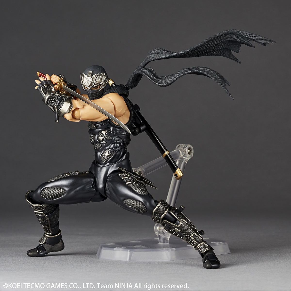 Amazing Yamaguchi Ryu Hayabusa - Ninja Gaiden