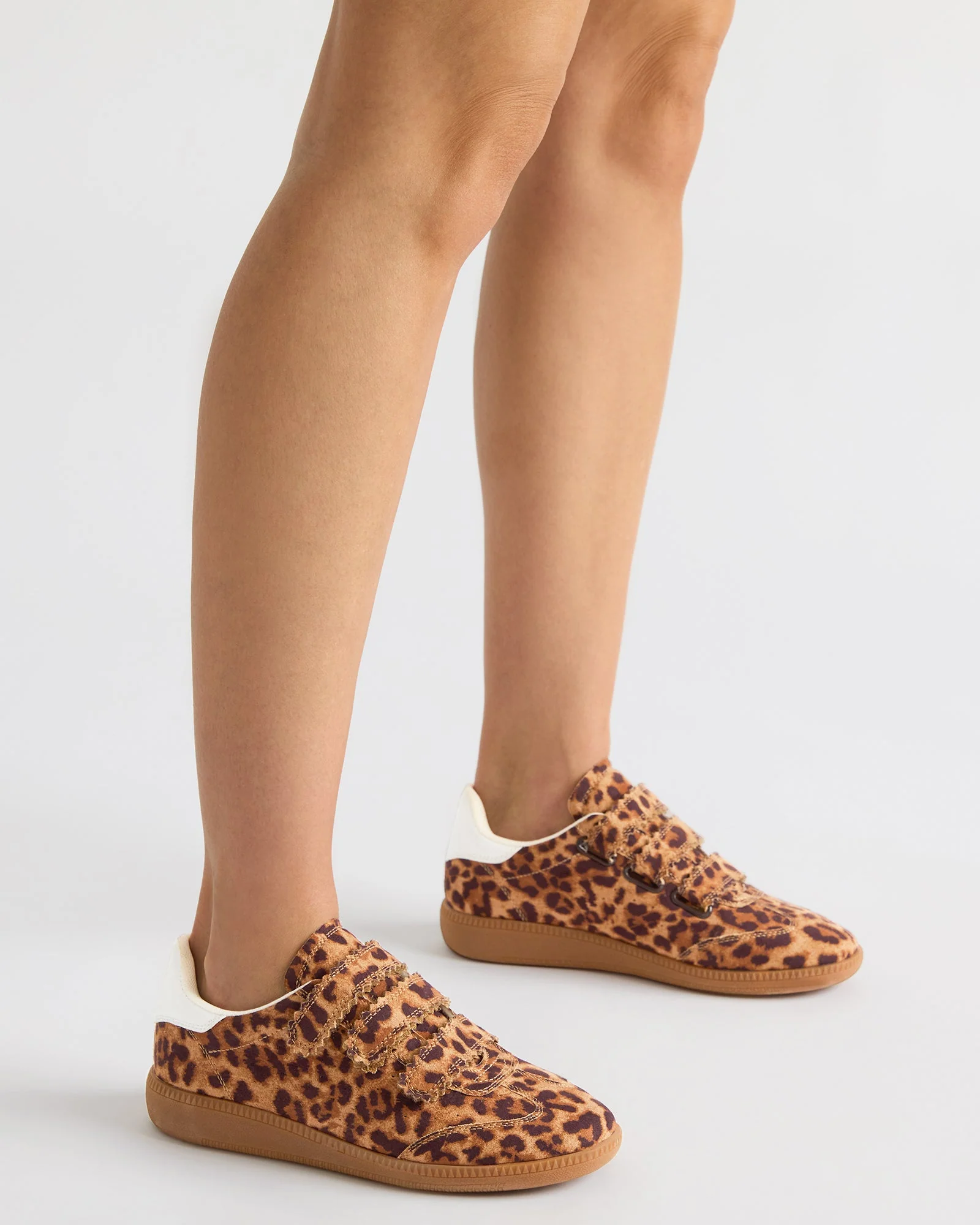 MOMENTUM LEOPARD