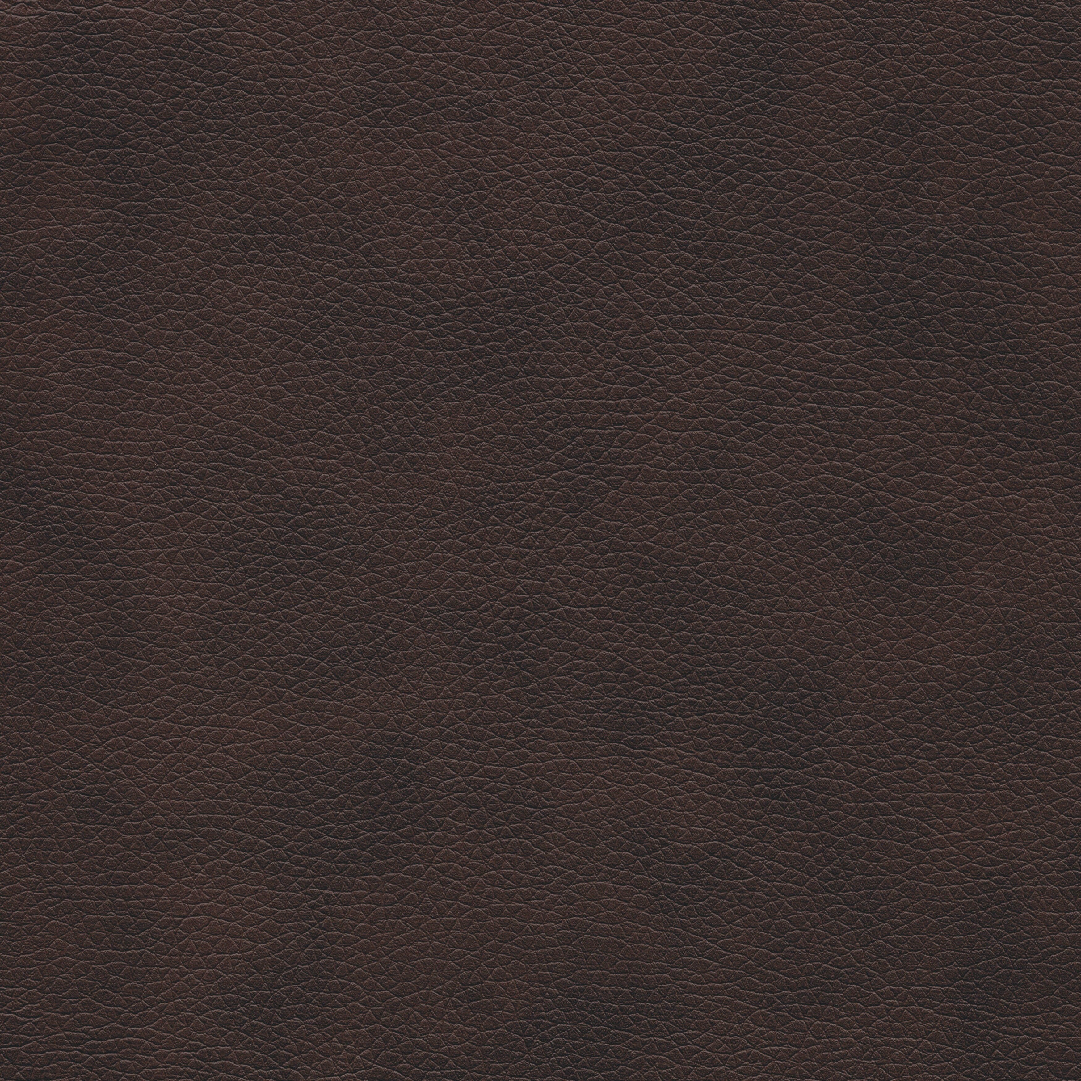 Lucca Reclining Chair