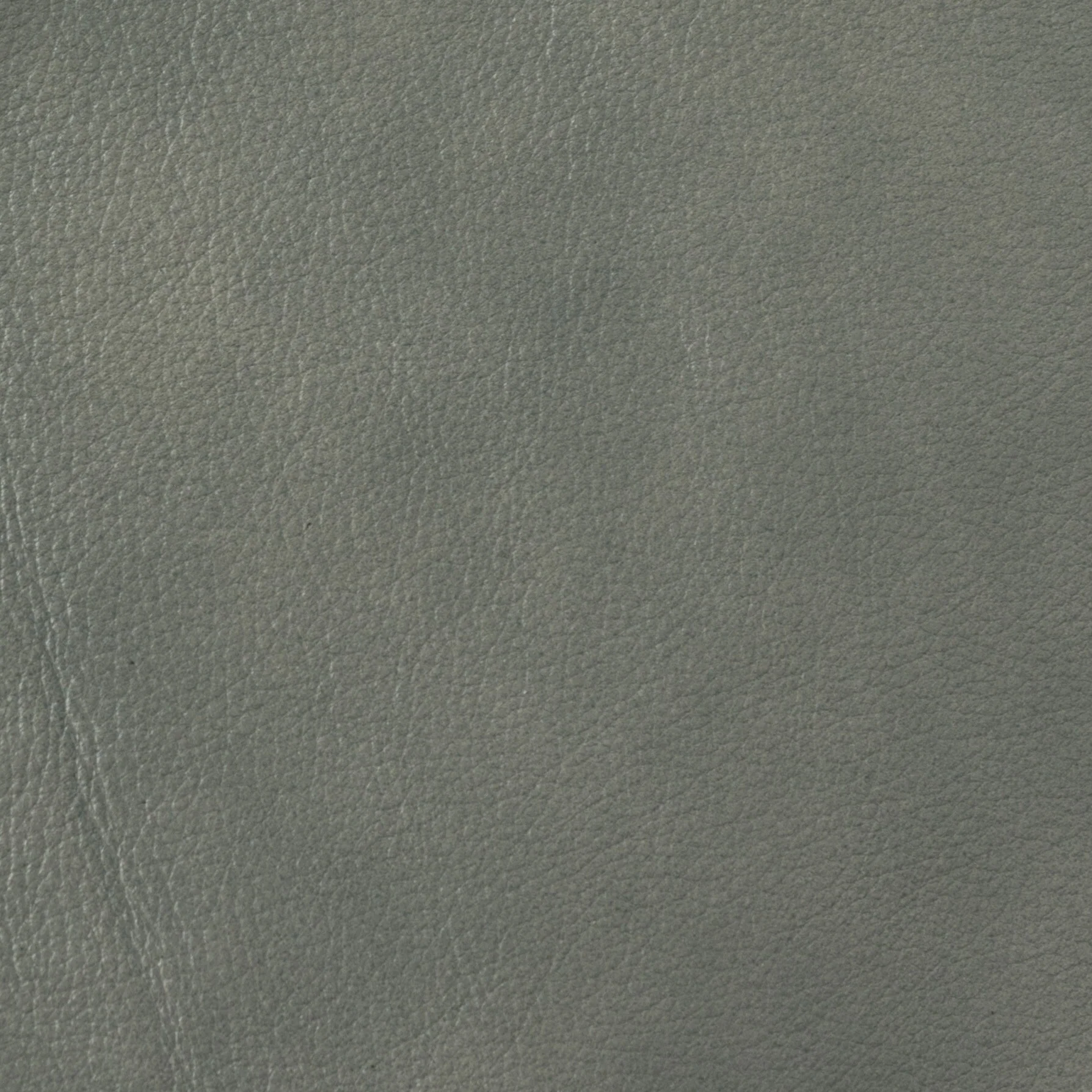 Alicia 32.68 Wide Genuine Leather Manual Recliner