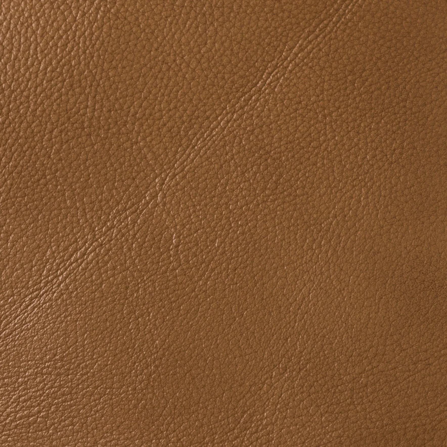 Alicia 32.68 Wide Genuine Leather Manual Recliner