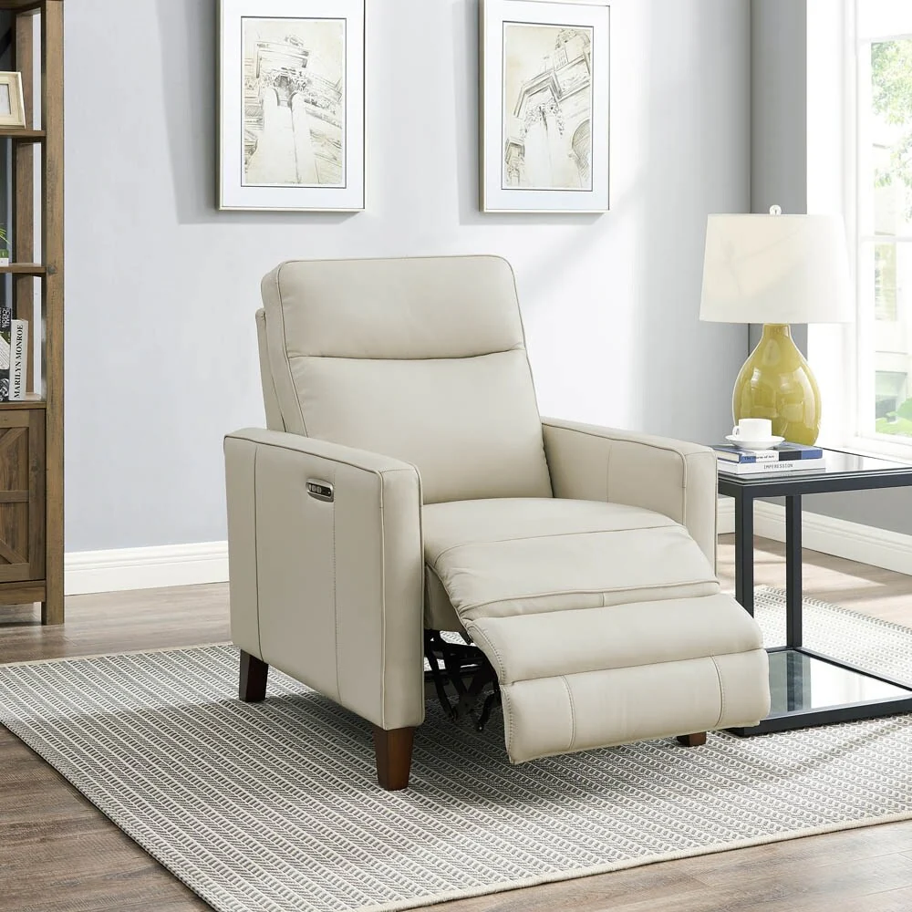 Hydeline Ashby Zero Gravity Recliner with Power Headrest
