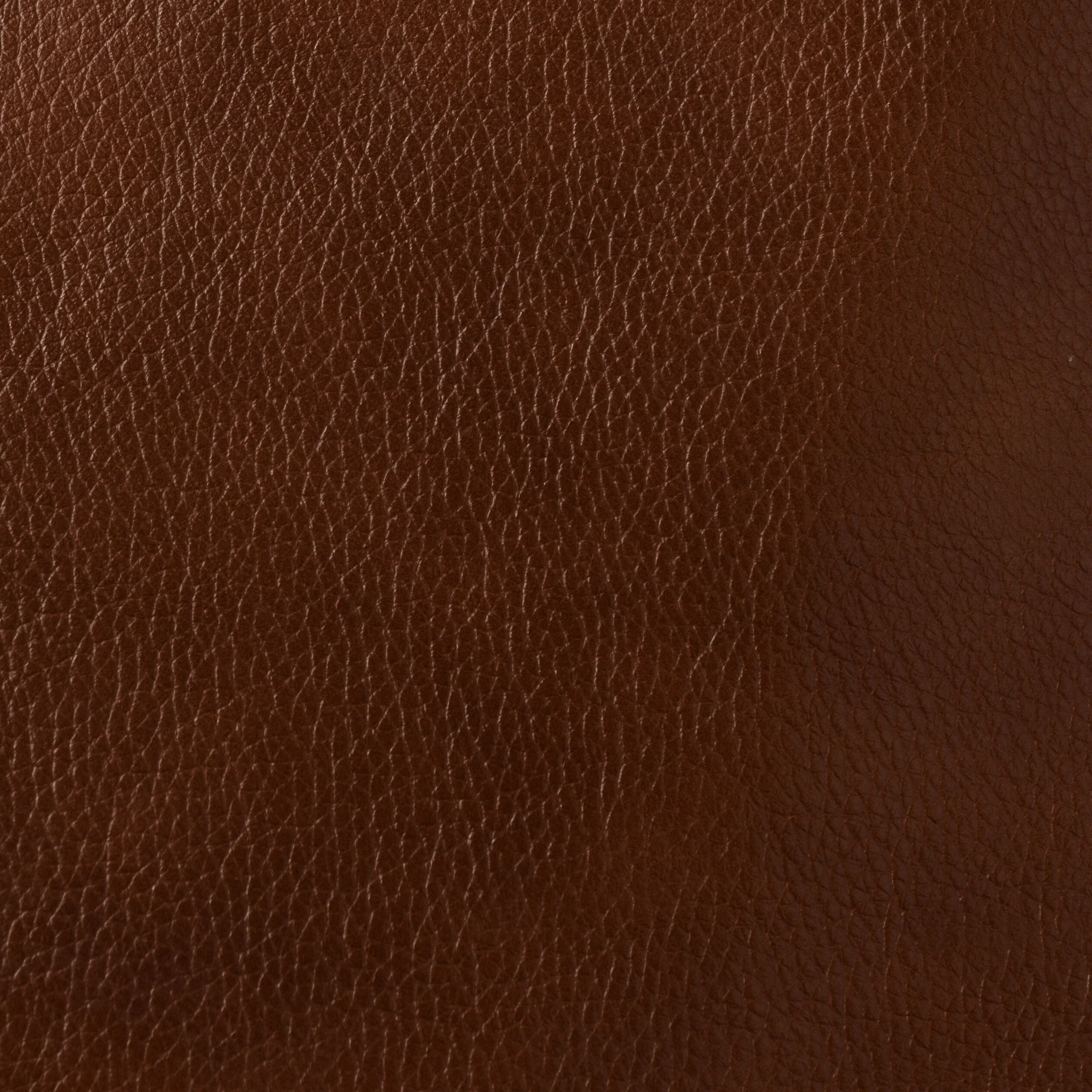 Alicia 32.68 Wide Genuine Leather Manual Recliner