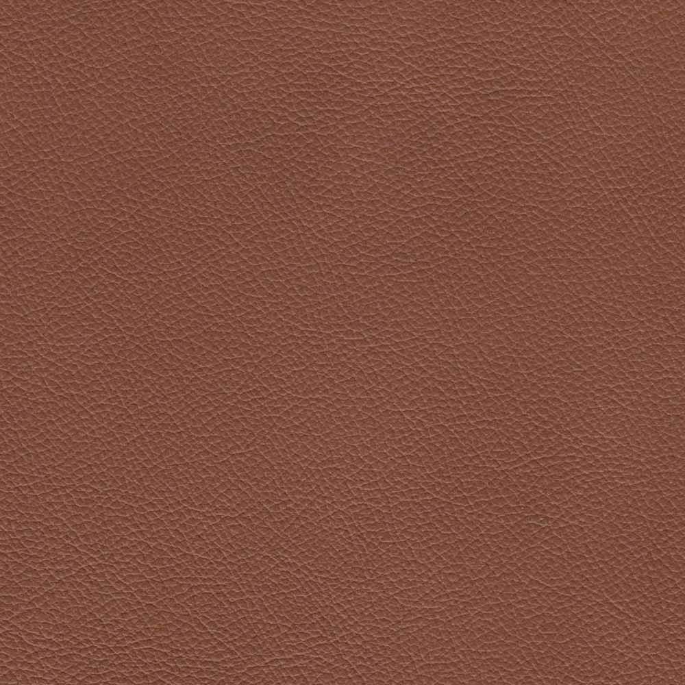 Hydeline Venice Zero Gravity Power Recline and Headrest Top Grain Leather Recliner with Cup Holder