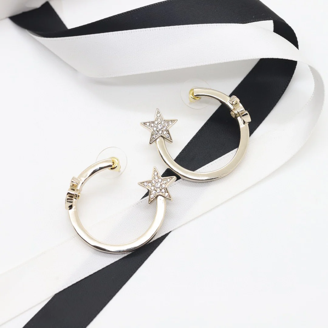 CCE394 High Quality CC earring - ccjewelryacc