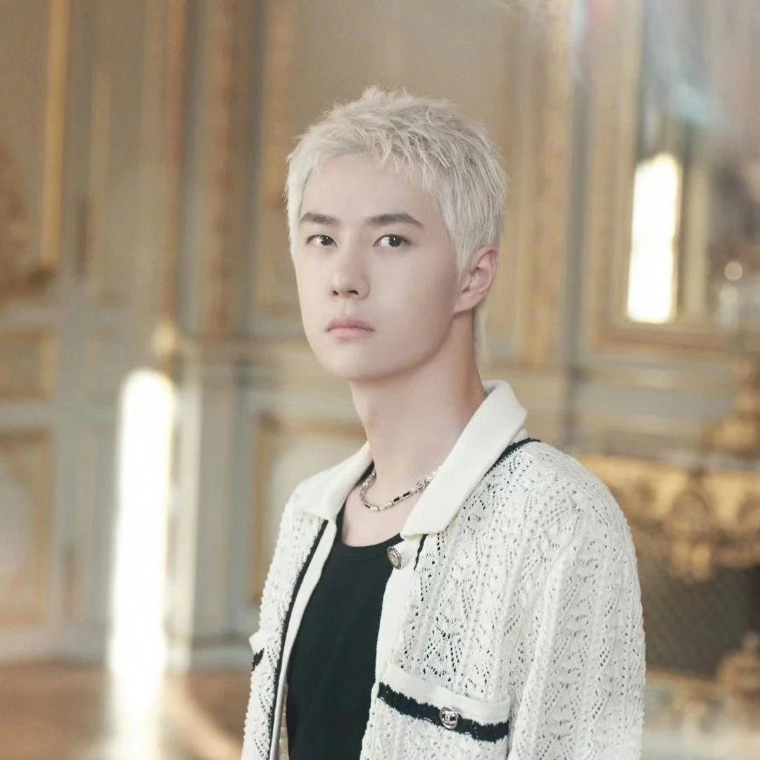 CCN003 23K CC Choker Necklace Silver Black - ccjewelryacc