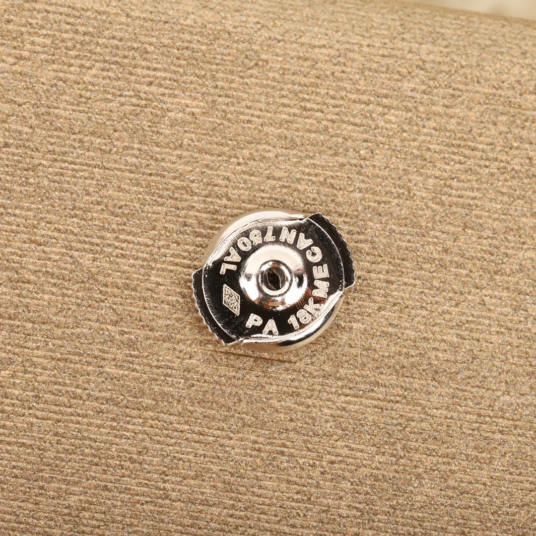 BGES003 S925 Sterling Silver Diamond DIVAS' DREAM stud Earring - ccjewelryacc