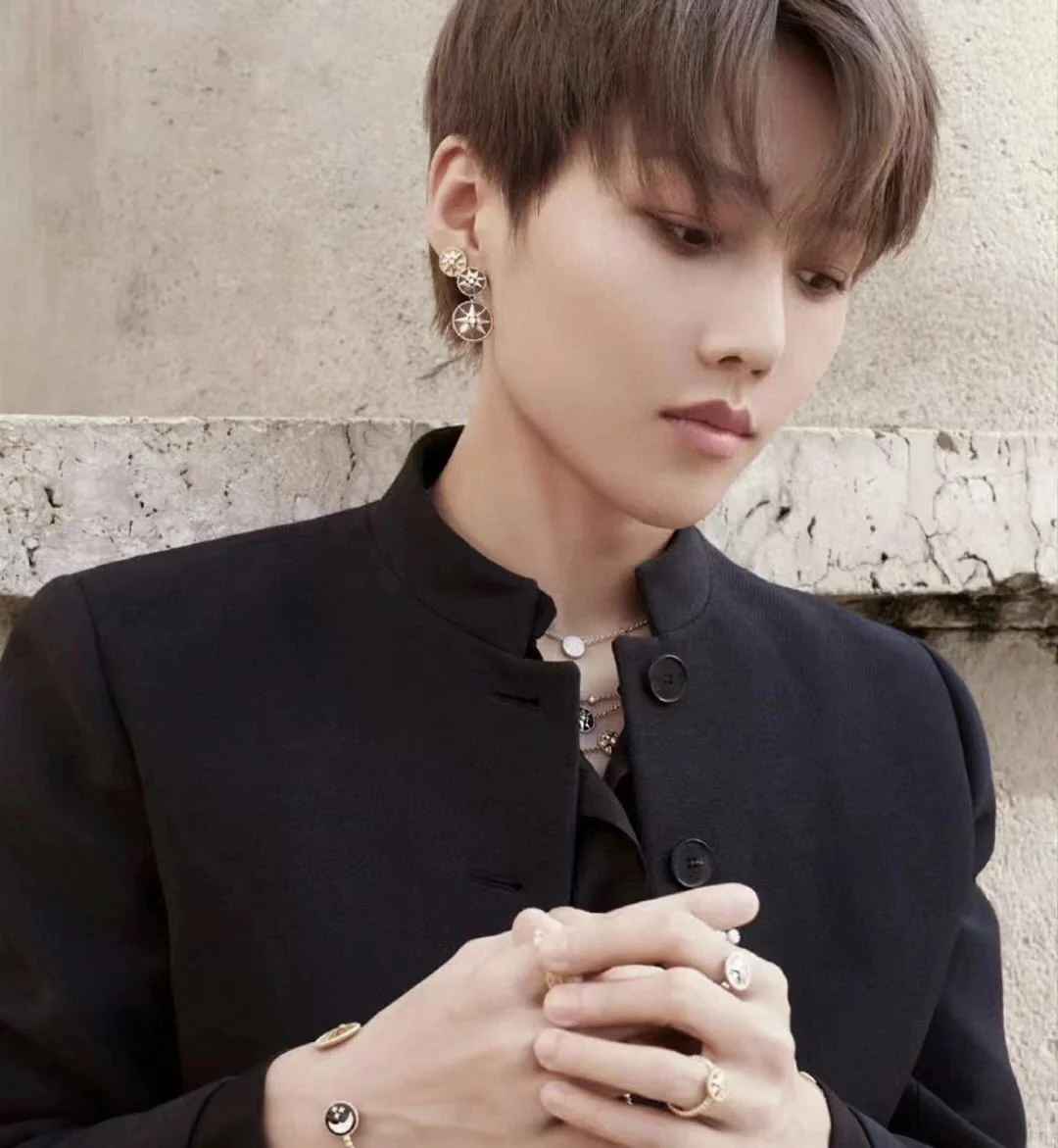 CDEV001 18K Gold Dior ROSE DES VENTS Earrings for Women - ccjewelryacc