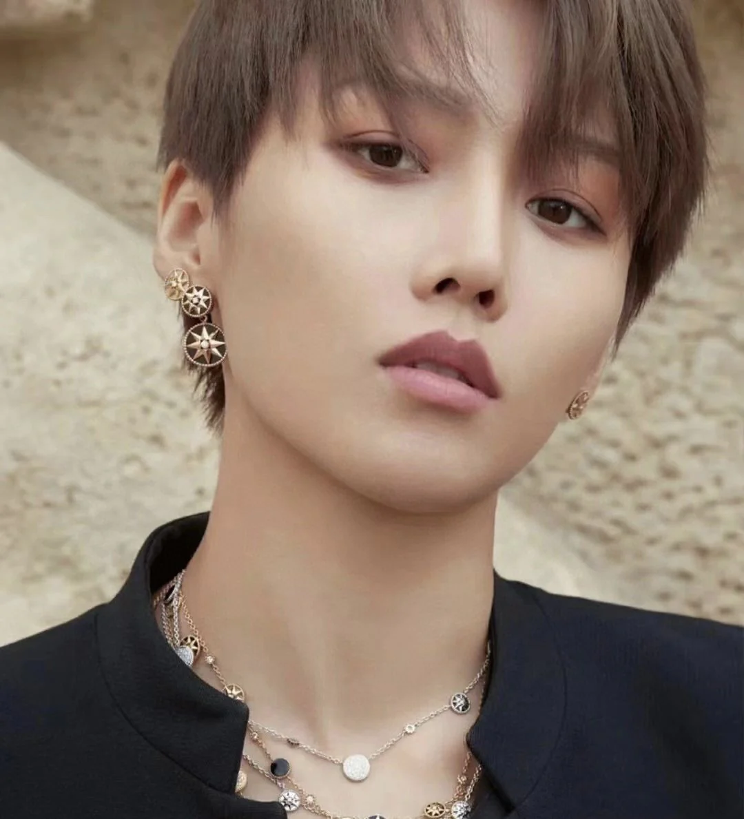 CDEV001 18K Gold Dior ROSE DES VENTS Earrings for Women - ccjewelryacc