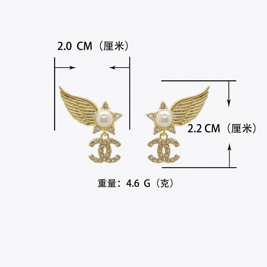 CCE448 High Quality CC earring - ccjewelryacc