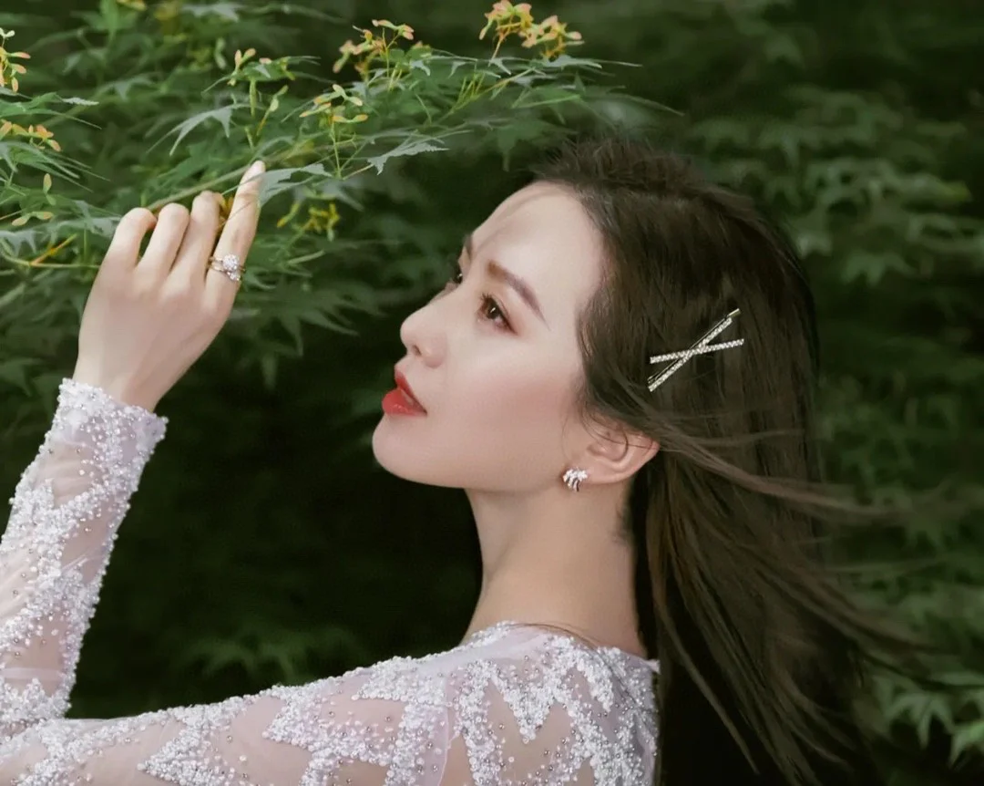 CCES292 S925 Sterling Silver diamond Étoile Filante earrings Earring clip - ccjewelryacc