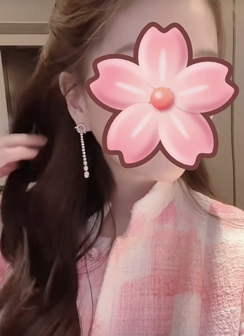 HMES004 S925 Sterling silver 18K Gold Plated Diamond finesse Earrings clip - ccjewelryacc