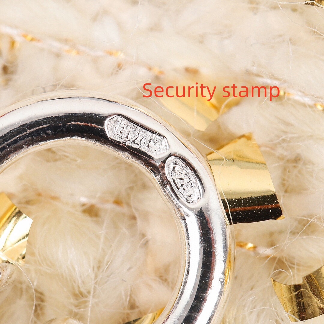 HMNS008 S925 Sterling Silver Amulettes Ex-Libris pendant Necklace - ccjewelryacc