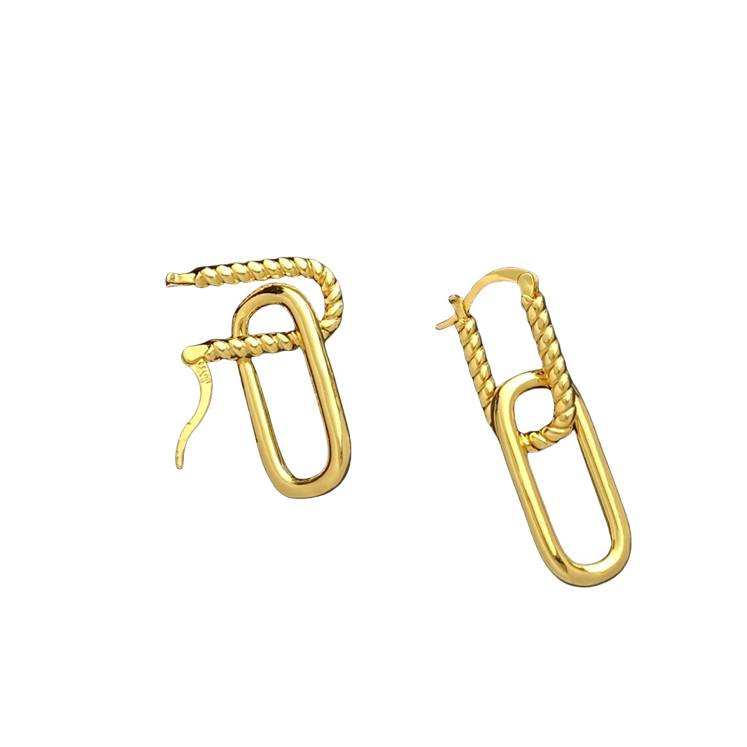 CLE040 Ciline double ring drop earring in metal and gold finish - ccjewelryacc