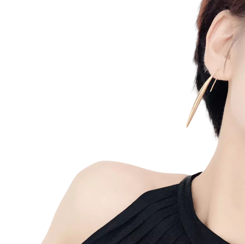 CLE073 Ciline Act de Triomphe novluno hook earring in metal - ccjewelryacc