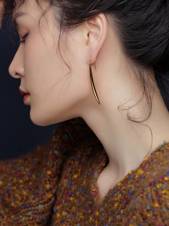 CLE073 Ciline Act de Triomphe novluno hook earring in metal - ccjewelryacc