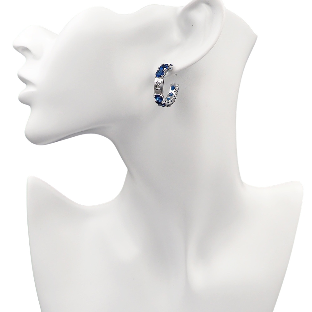 LVE097 L&V Diamond hook earring - ccjewelryacc