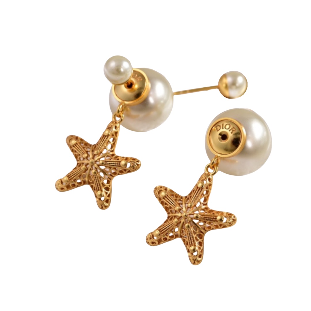 CDE006 Dior Cabinet de curiosites earrings - ccjewelryacc
