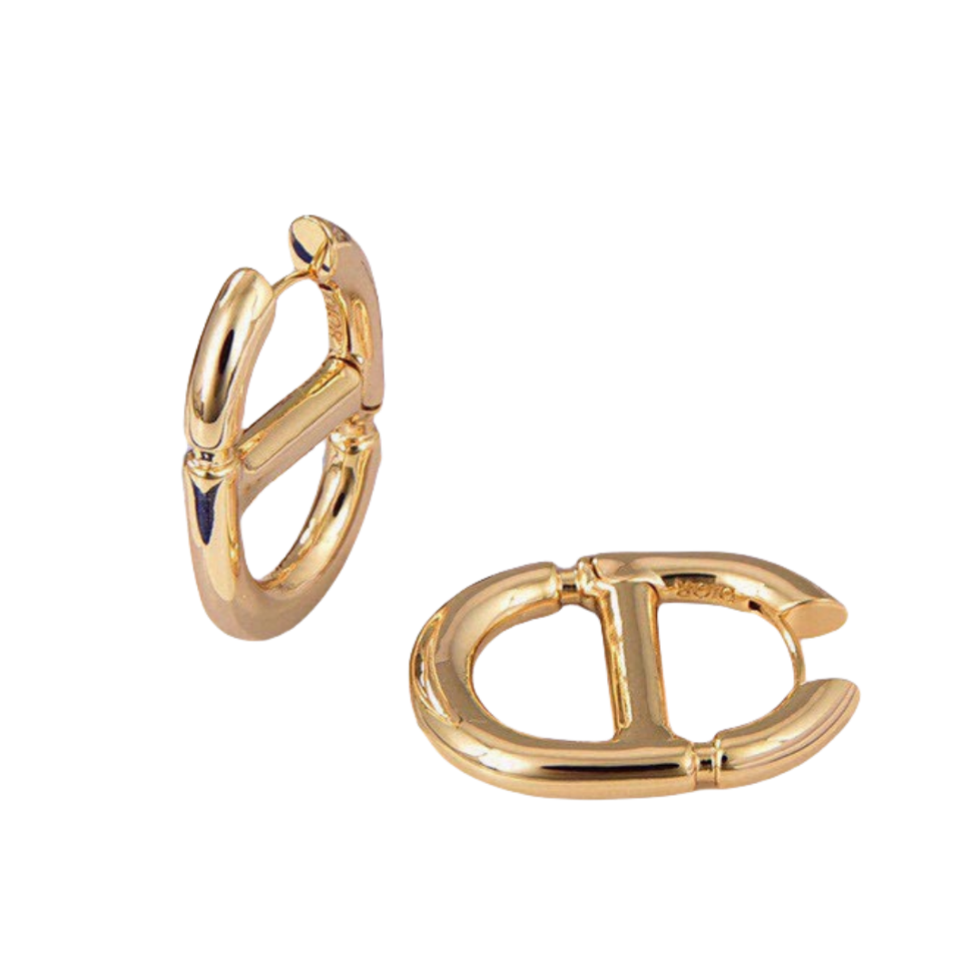 CDE277 Dior metal classical navy earring for women - ccjewelryacc