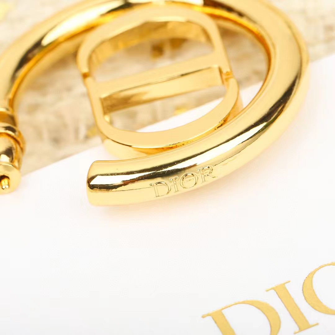 CDE260 Dior 30 montaigne hook earring - ccjewelryacc