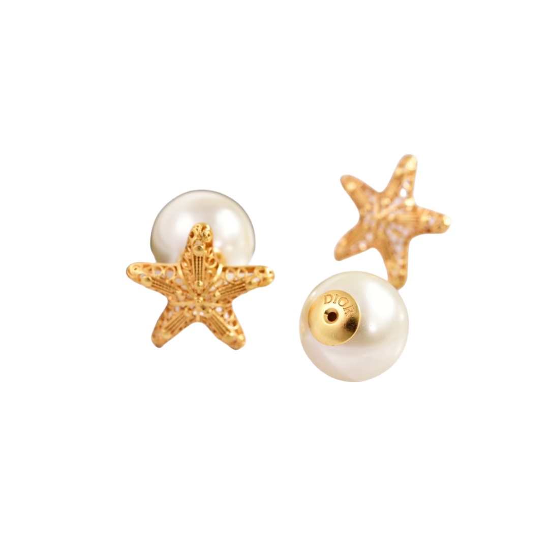 CDE006 Dior Cabinet de curiosites earrings - ccjewelryacc