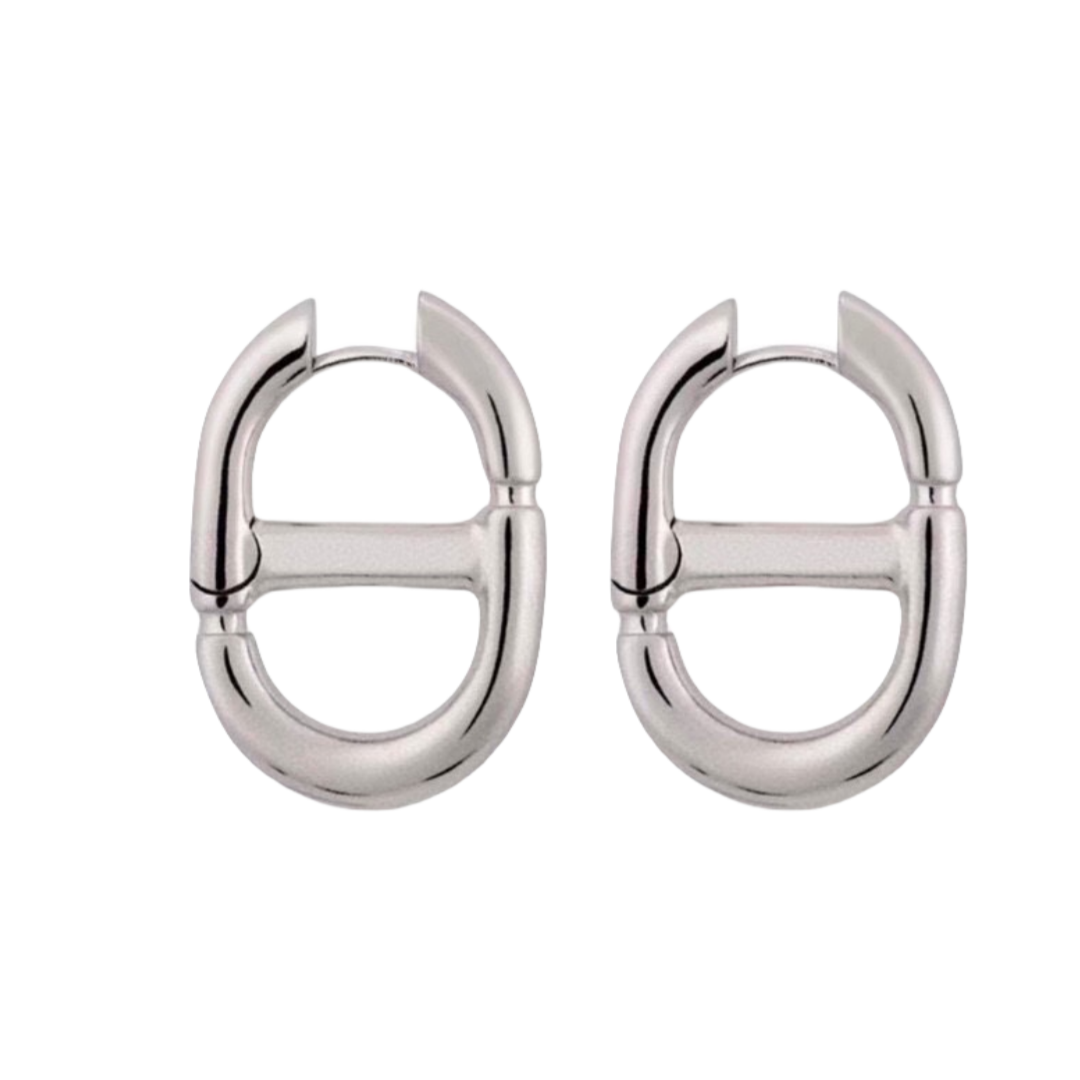 CDE277 Dior metal classical navy earring for women - ccjewelryacc