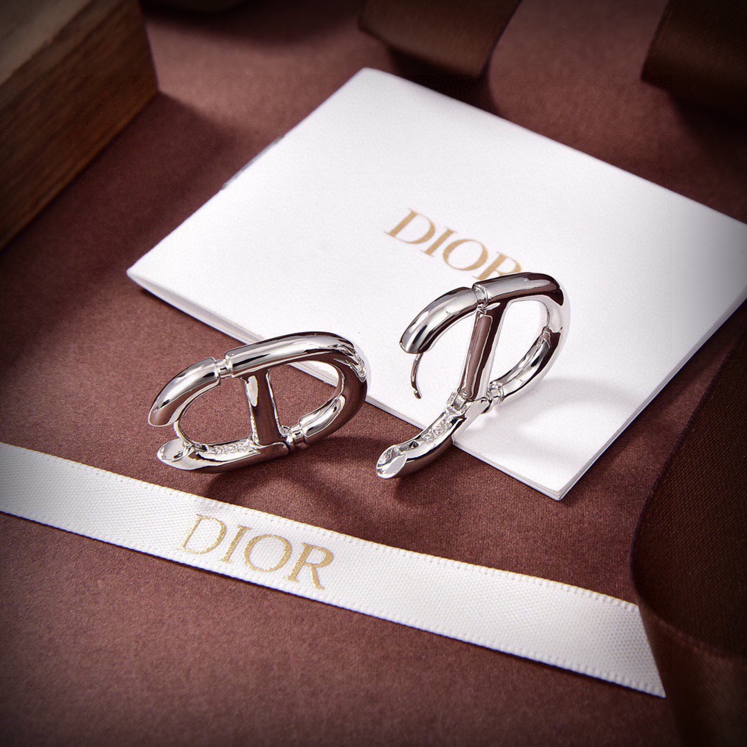 CDE277 Dior metal classical navy earring for women - ccjewelryacc