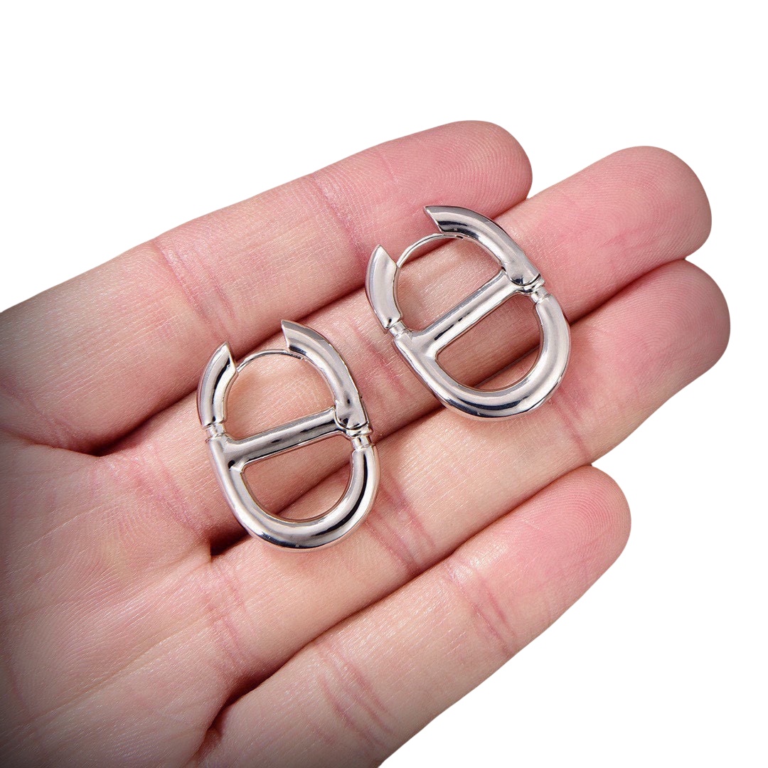 CDE277 Dior metal classical navy earring for women - ccjewelryacc