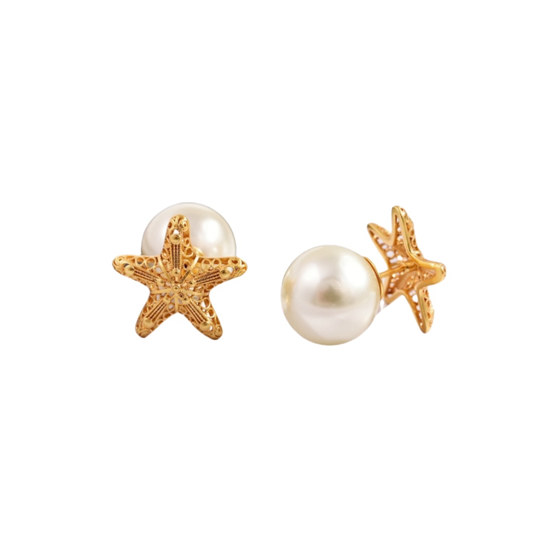 CDE006 Dior Cabinet de curiosites earrings - ccjewelryacc