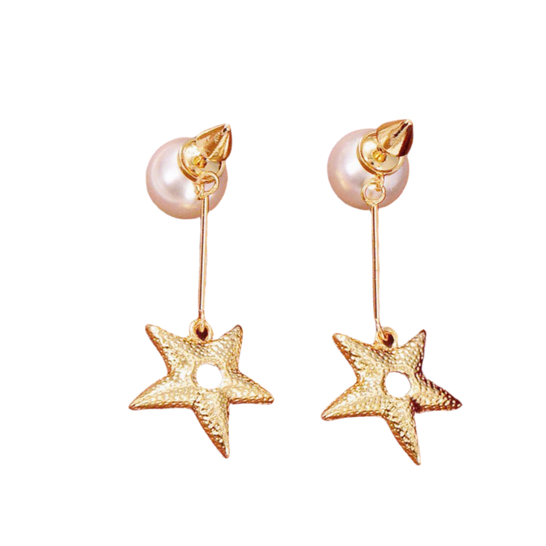 CDE069 Dior star Tribales earring - ccjewelryacc